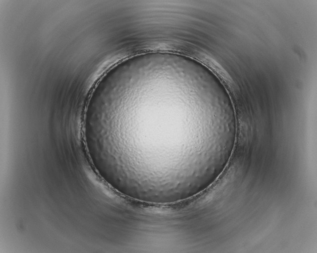 X0000113030994200909101854