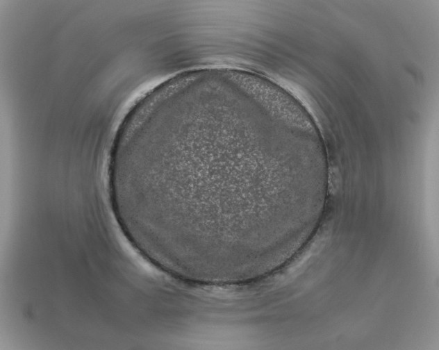 X0000113030995200909101854