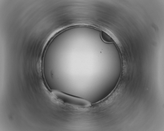 X0000113030996200909101854