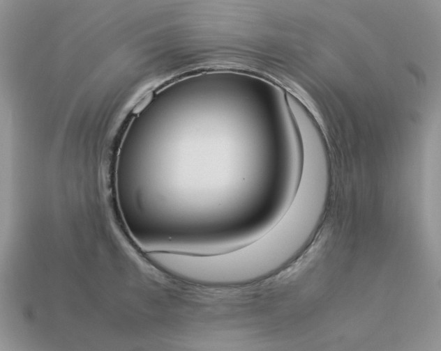 X0000113030997200909101854