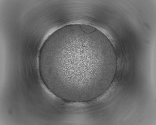 X0000113030998200909101854