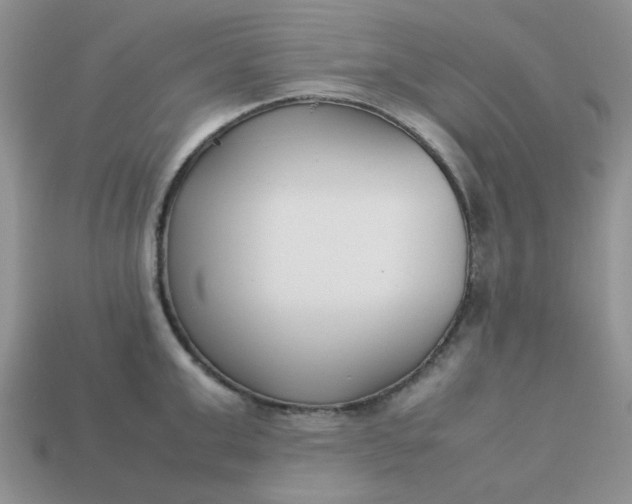 X0000113030999200909101854