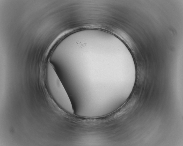 X0000113031000200909101854