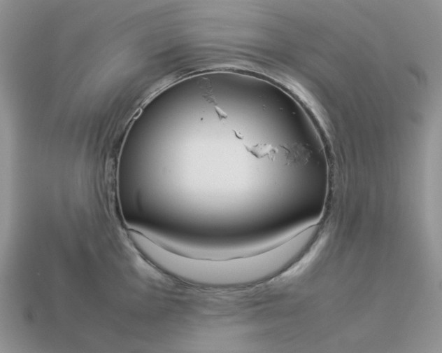 X0000113031001200909101854