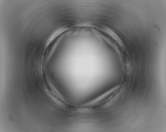 X0000113031002200909101854