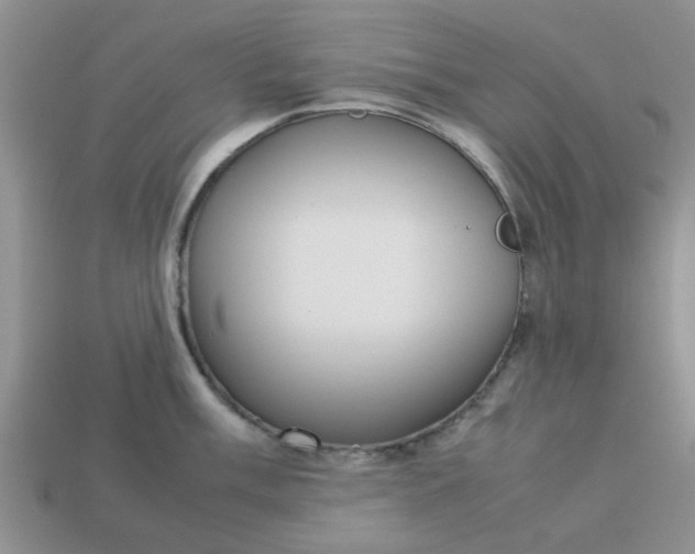 X0000113031003200909101854