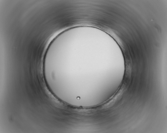 X0000113031004200909101854