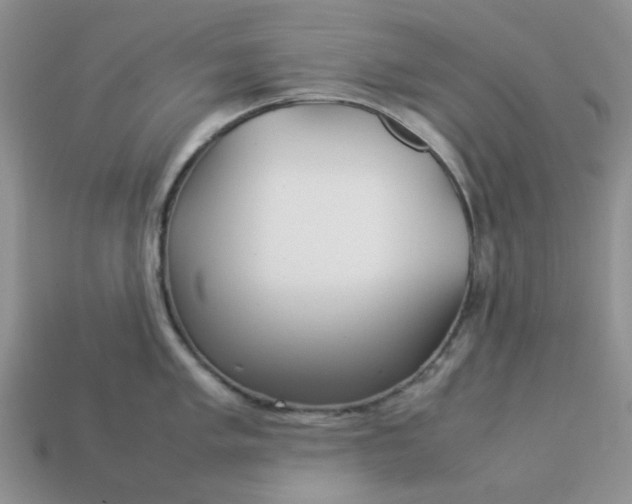 X0000113031005200909101854