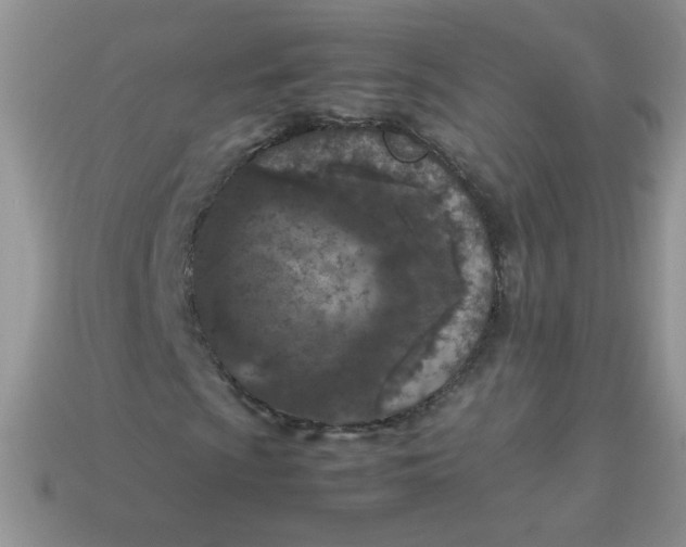 X0000113031009200909101853