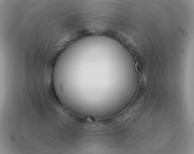 X0000113031012200909101853