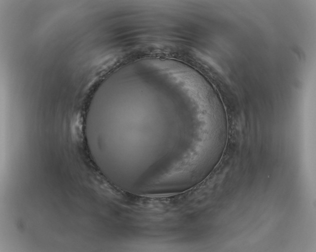 X0000113031013200909101853