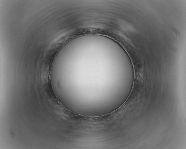 X0000113031014200909101853