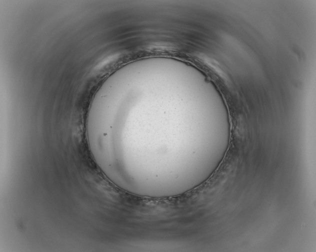 X0000113031015200909101853