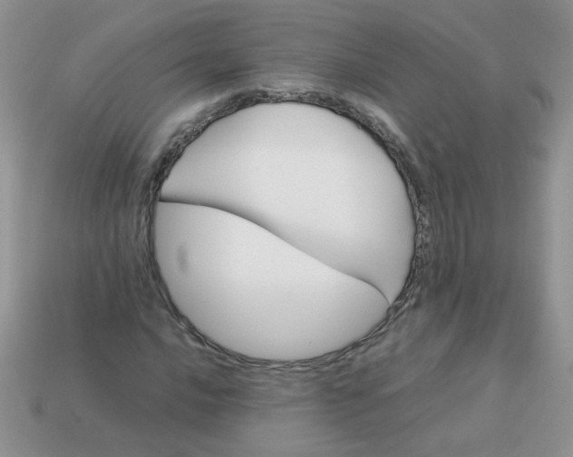 X0000113031016200909101853