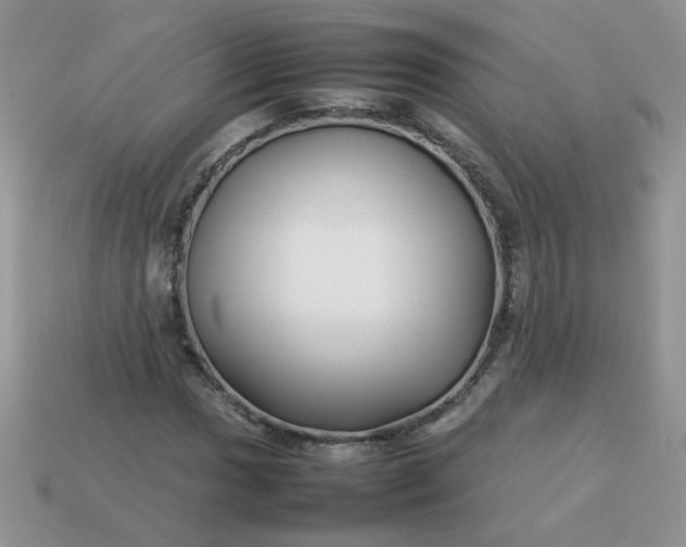 X0000113031017200909101853