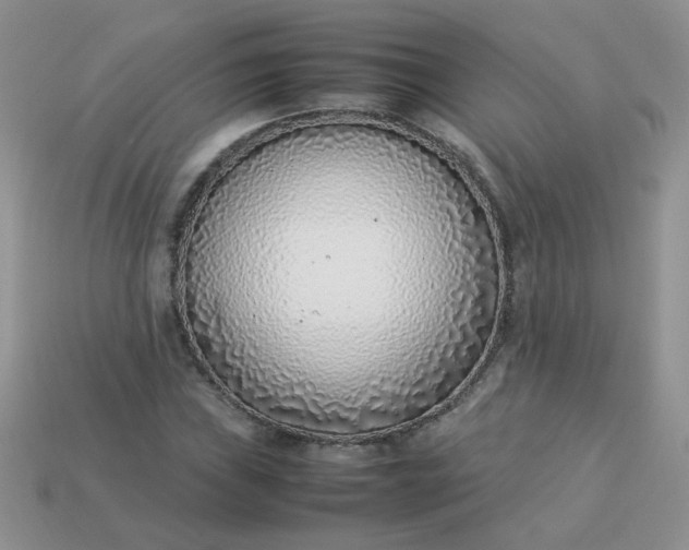 X0000113031019200909101853