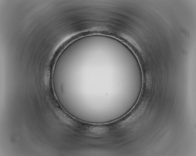 X0000113031021200909101853