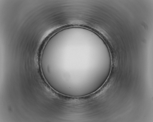 X0000113031022200909101853