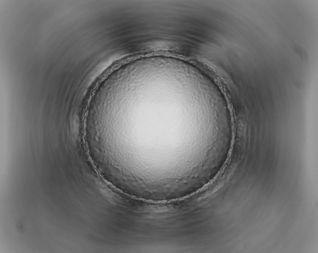 X0000113031023200909101853