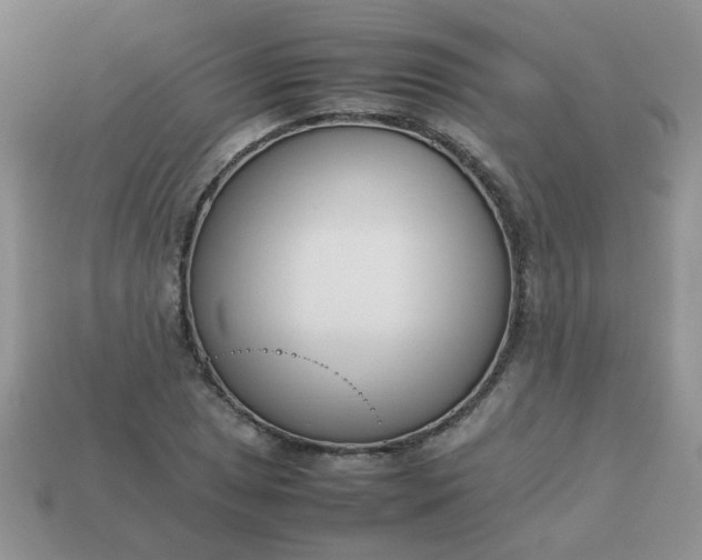 X0000113031025200909101853