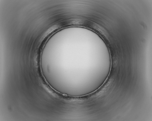 X0000113031026200909101853