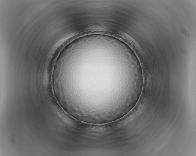 X0000113031027200909101853