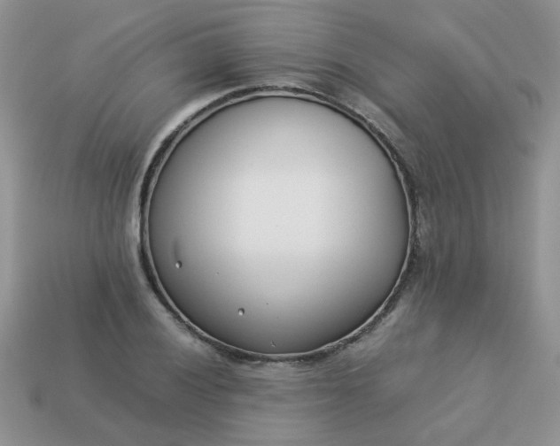 X0000113031028200909101853