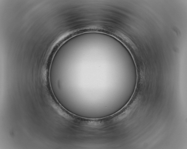 X0000113031029200909101853