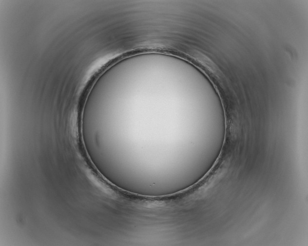 X0000113031030200909101853