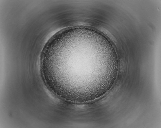 X0000113031031200909101854