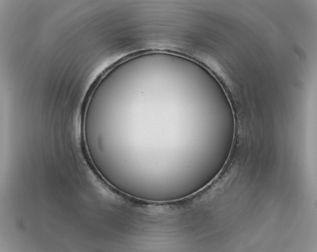 X0000113031032200909101854