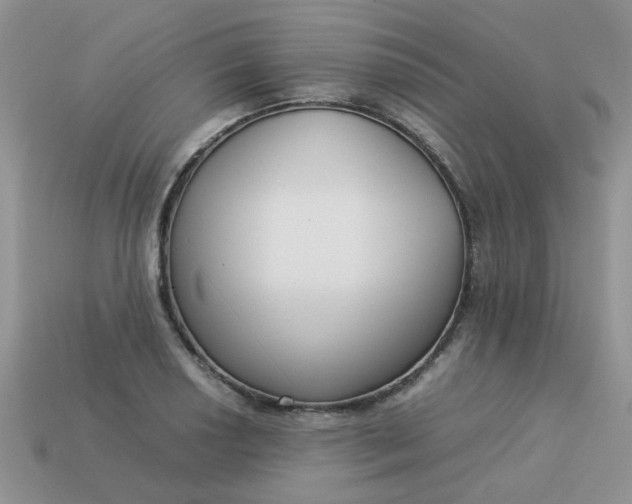 X0000113031034200909101854