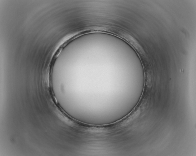 X0000113031036200909101854