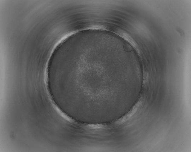 X0000113031037200909101854