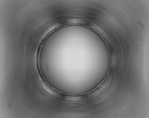 X0000113031039200909101854