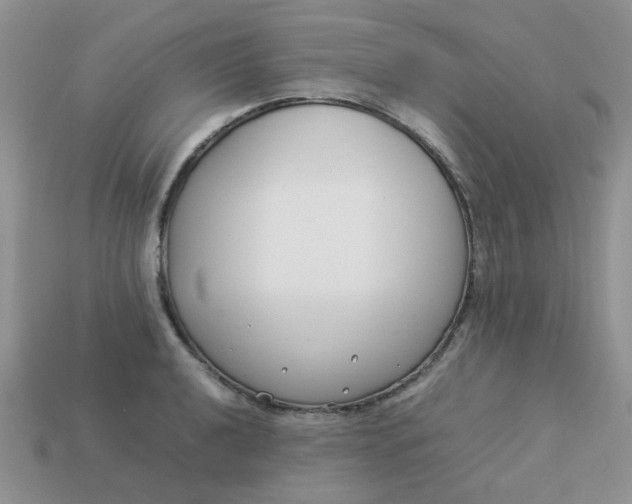 X0000113031040200909101854