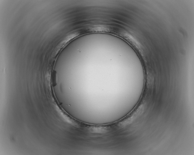 X0000113031041200909101854