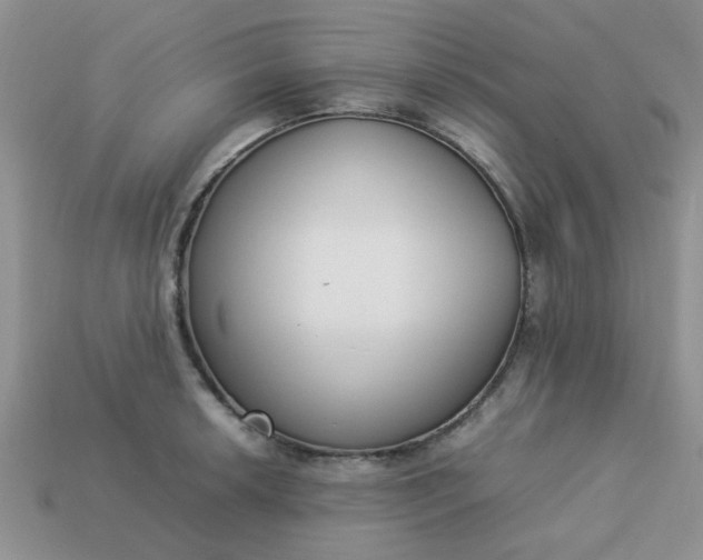 X0000113031042200909101854