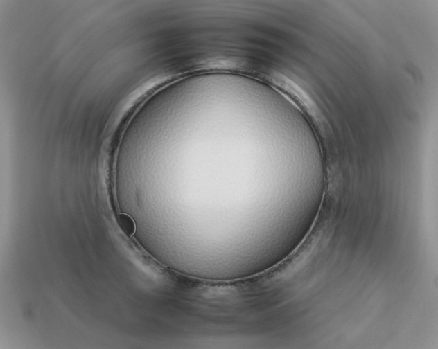 X0000113031043200909101854