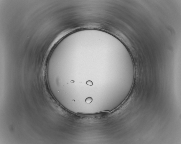 X0000113031044200909101854