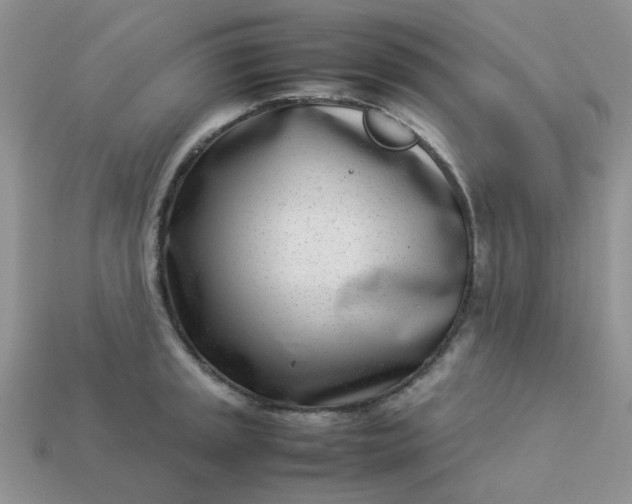 X0000113031045200909101854