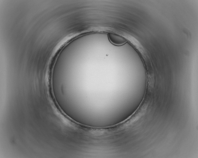 X0000113031046200909101854