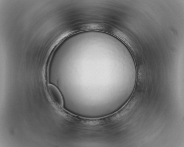 X0000113031047200909101854