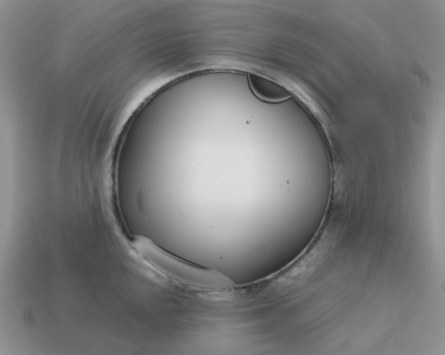 X0000113031048200909101854