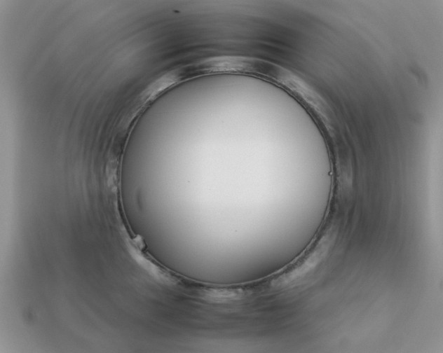 X0000113031049200909101854