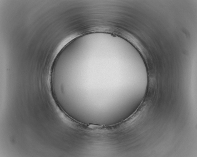 X0000113031050200909101854