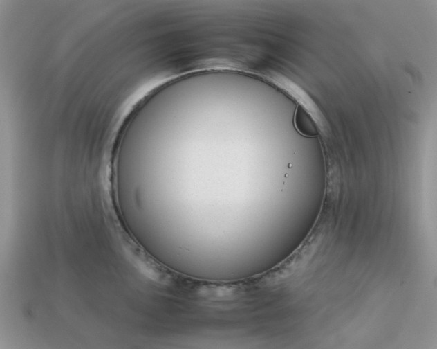 X0000113031051200909101854