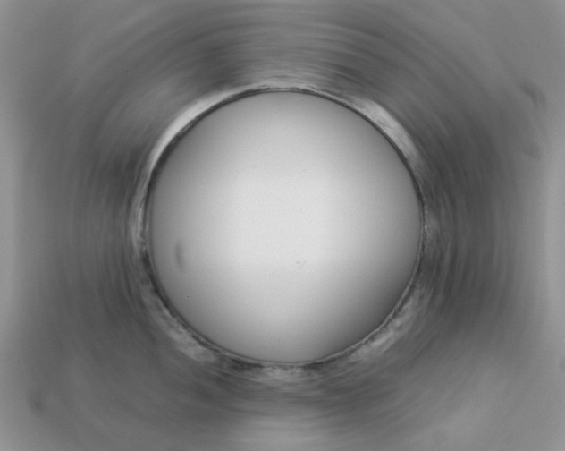 X0000113031052200909101854