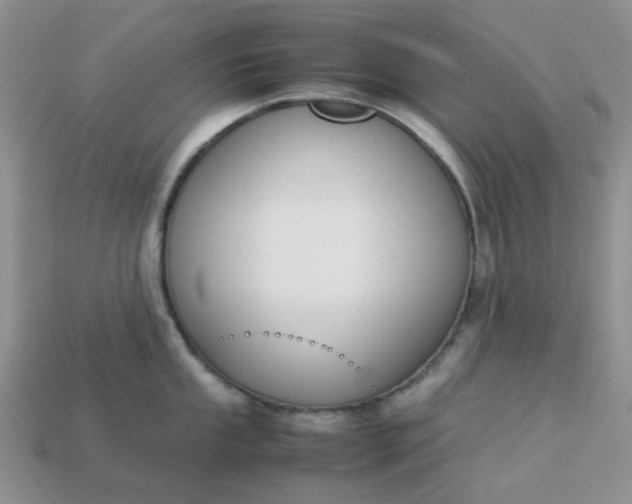 X0000113031053200909101854