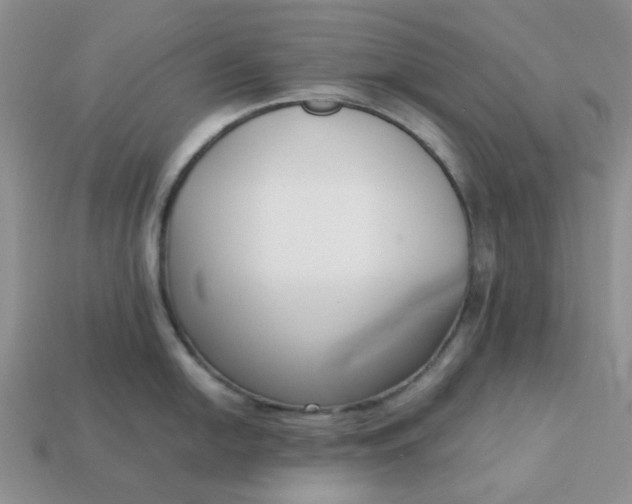 X0000113031054200909101854